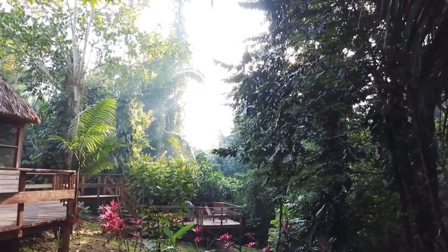 JAGUAR CREEK l BELIZE смотреть онлайн