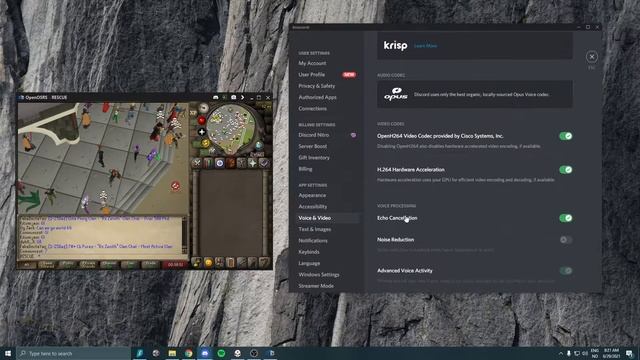 How to get your cursor visible on Discord Screenshare official fix смотреть онлайн