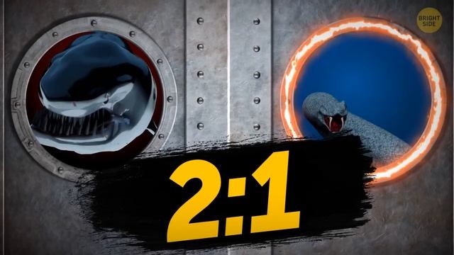 What If Megalodon Met the Biggest Snake Ever смотреть онлайн