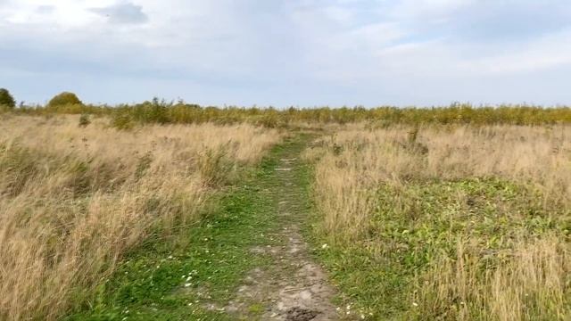 Тест звука петличного микрофона BOYA BY-M2 на iPhone 11
Петличный микрофон смотреть онлайн