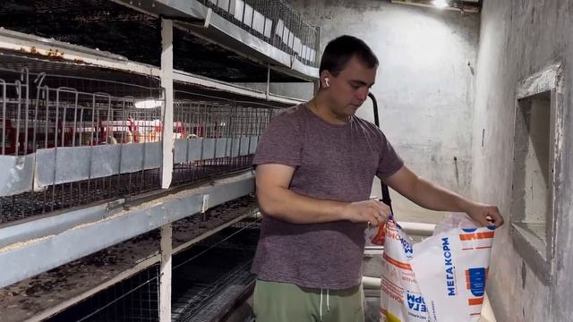 Сравнение комбикормов первая неделя. смотреть онлайн