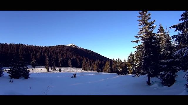 Карпатський Новий рік / The Carpathian New Year смотреть онлайн