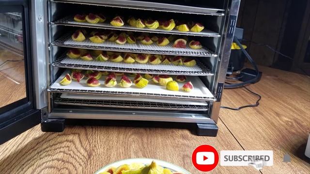 How to Dehydrate Figs | Preserve Figs by Dehydrating in a Cosori Food Dehydrator смотреть онлайн