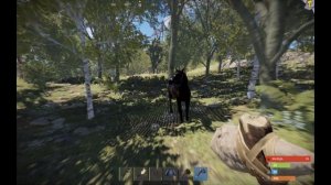 СОЛО выживание в RUST|Раст старт с 0 часов#RUST#раст