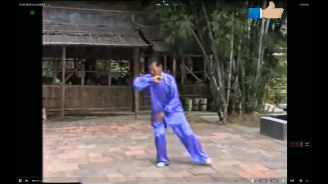 Тайцзицюань Чэнь тайцзи Чжан Маочжень