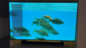 Эксклюзив: ТОП секретов настройки вашего OLED телевизора!