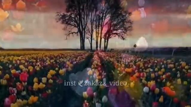 Нен-йиш ❤ Декъал йо йинчу денца смотреть онлайн