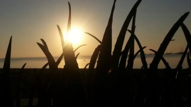 Santiago de la Ribera Canción смотреть онлайн