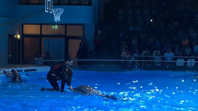 Литва смотреть онлайн