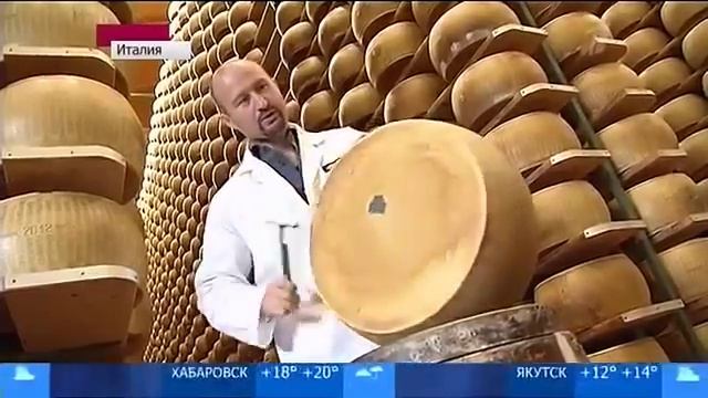 Пармезан банк сыра новости смотреть онлайн