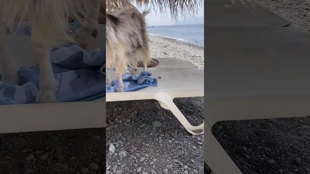 Как отдых-то?🌅 смотреть онлайн