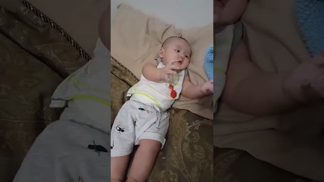 Theo vue(11) смотреть онлайн