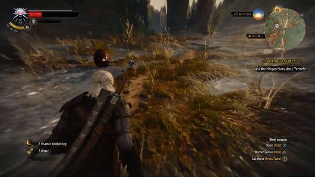 The Witcher 3: Wild Hunt Playthrough Part 5 смотреть онлайн