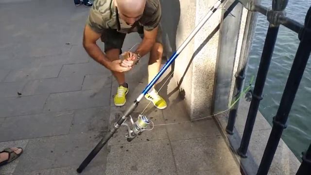 ЛЕТО. РЫБАЛКА С ЖЕНОЙ НА НАБЕРЕЖНОЙ, ЛОВИМ СОМА НА МЕДВЕДКУ !!! смотреть онлайн