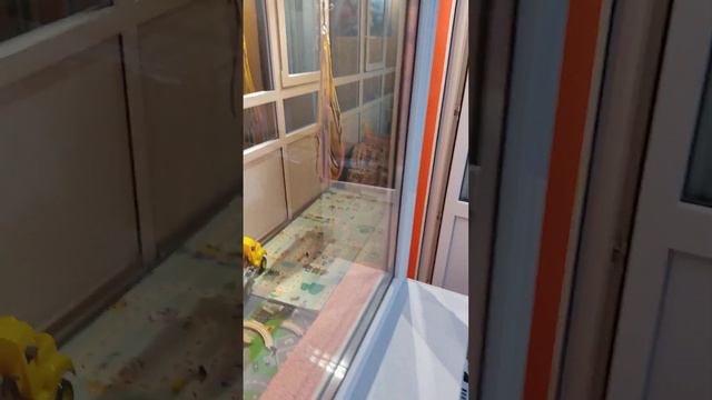 Стрим вчесть дня рождения канала! ПРОПУСТИЛ ЧИСЛО РОЖДЕНИЯ КАНАЛА! смотреть онлайн