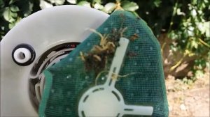 Демонтаж и чистка бензонасоса у Рено-Дачия Сандеро