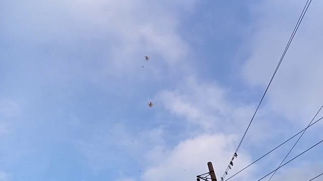 14.02.2021г. смотреть онлайн