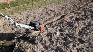 Мотоблок с окучником под посадку картошки Hyundai T-1200! Майнинг крипто картошки!