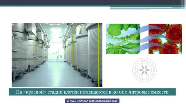 КАК УБЕРЕЧЬСЯ ОТ РАКА смотреть онлайн