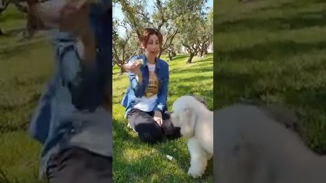 Tutorial Spray E Spot On Difesa Naturale BalùDefend