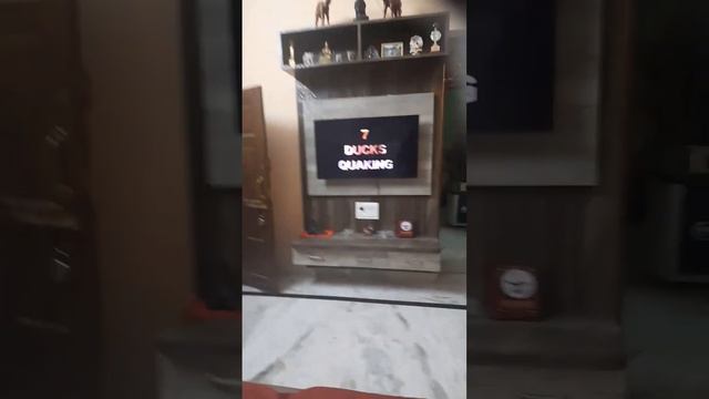 See my dog's reaction to these sounds 🔉🔉 смотреть онлайн