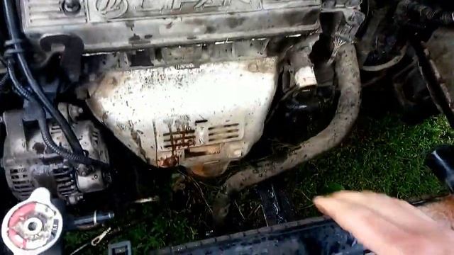 Уборка: красота за порогом