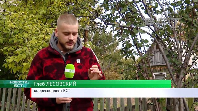 Дикий медведь беспокоит жителей садоводства «Малина» смотреть онлайн
