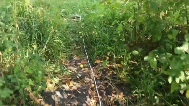 Зелёный тариф по-русски! Или как я соседа к Солнцу подключил... смотреть онлайн