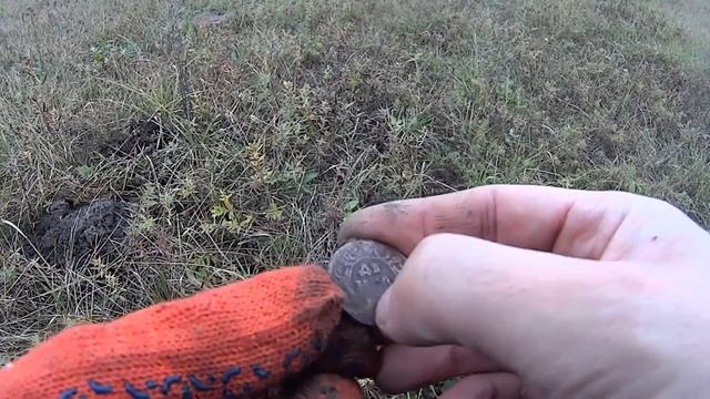 КОП и РЫБАЛКА, нашёл трак от трактора, монеты, подкову. Киевская область смотреть онлайн