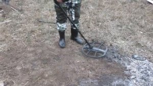 Тест Ака Сигнум и Nokta Anfibio с 15" катушками