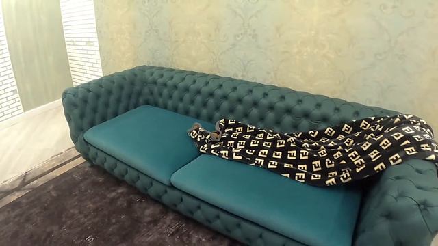 Дизайнерский Диван смотреть онлайн