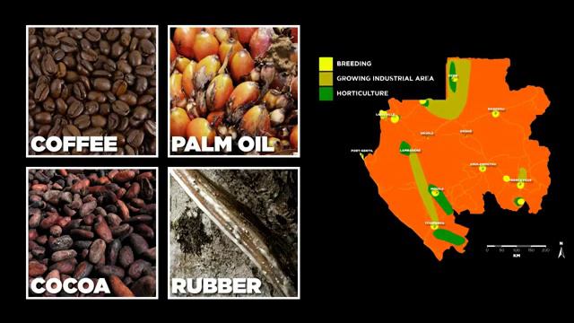 Invest in Gabon смотреть онлайн