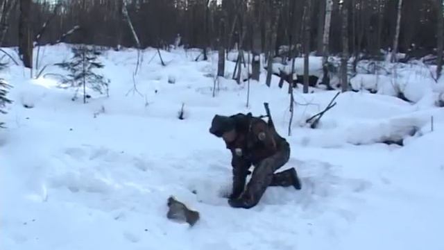 кабаргу убивают ради мускуса.m2p смотреть онлайн