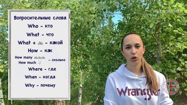 Lesson 5. Изучаем специальные вопросы смотреть онлайн