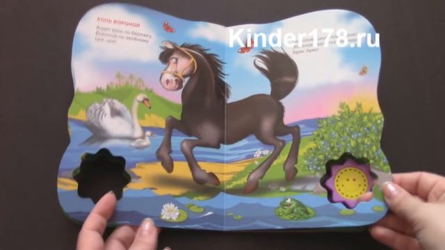 Детская музыкальная книга "Сорока-белобока" Волшебная кнопочка. Потешки. Проф-Пресс. Видео-обзор смотреть онлайн