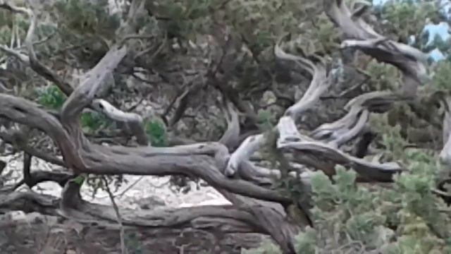 Крым,Судак,Новый Свет, 2020//Смотрю и наслаждаюсь под музыку!#Любимыйкрым,#ЛюбимыйСудак,НовыйСвет смотреть онлайн