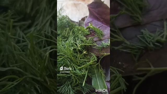 #САЛАТ С #ОРЕШКАМИ #топ #рецепт #рецепты #салат #салаты #еда #вкусно #кухня #подписка #short #shorts