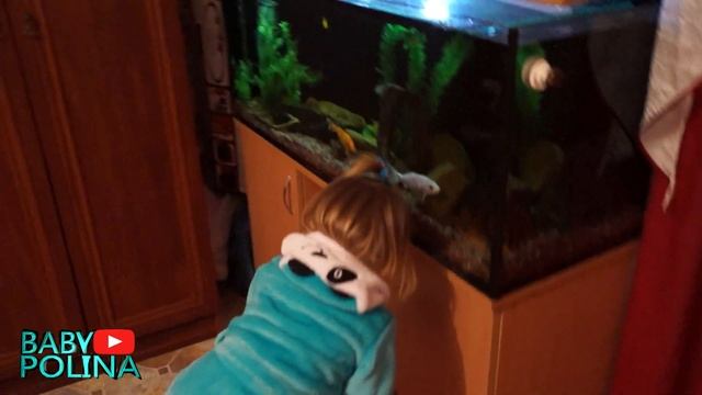 ОБЗОР//Аквариума с рыбками. Цыхлиды, Карпы Кои, Синодонтис перевертыш. смотреть онлайн