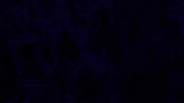 Яснотка пурпурная(лат. Lámium purpúreum) смотреть онлайн