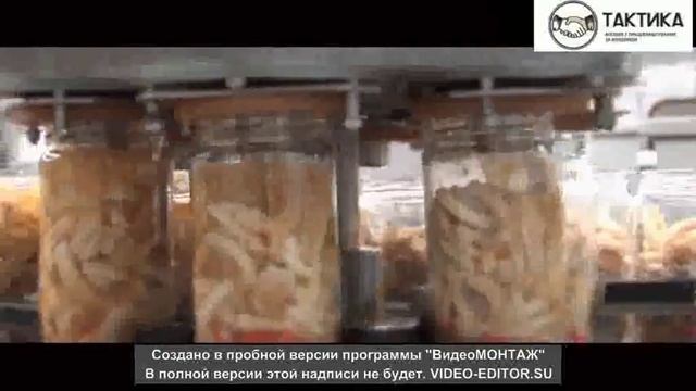 Трудоустройство в Польше, консервный завод. смотреть онлайн