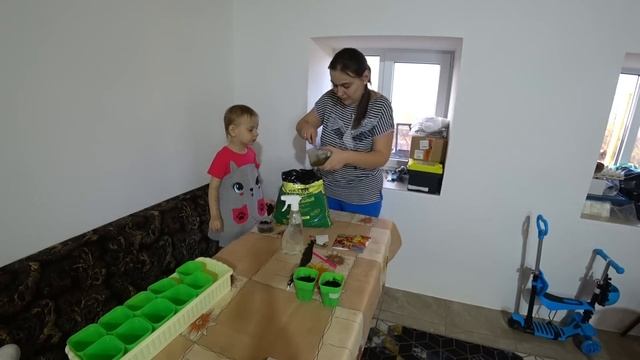 Первый раз сама выращиваю рассаду, ждем большой урожай смотреть онлайн