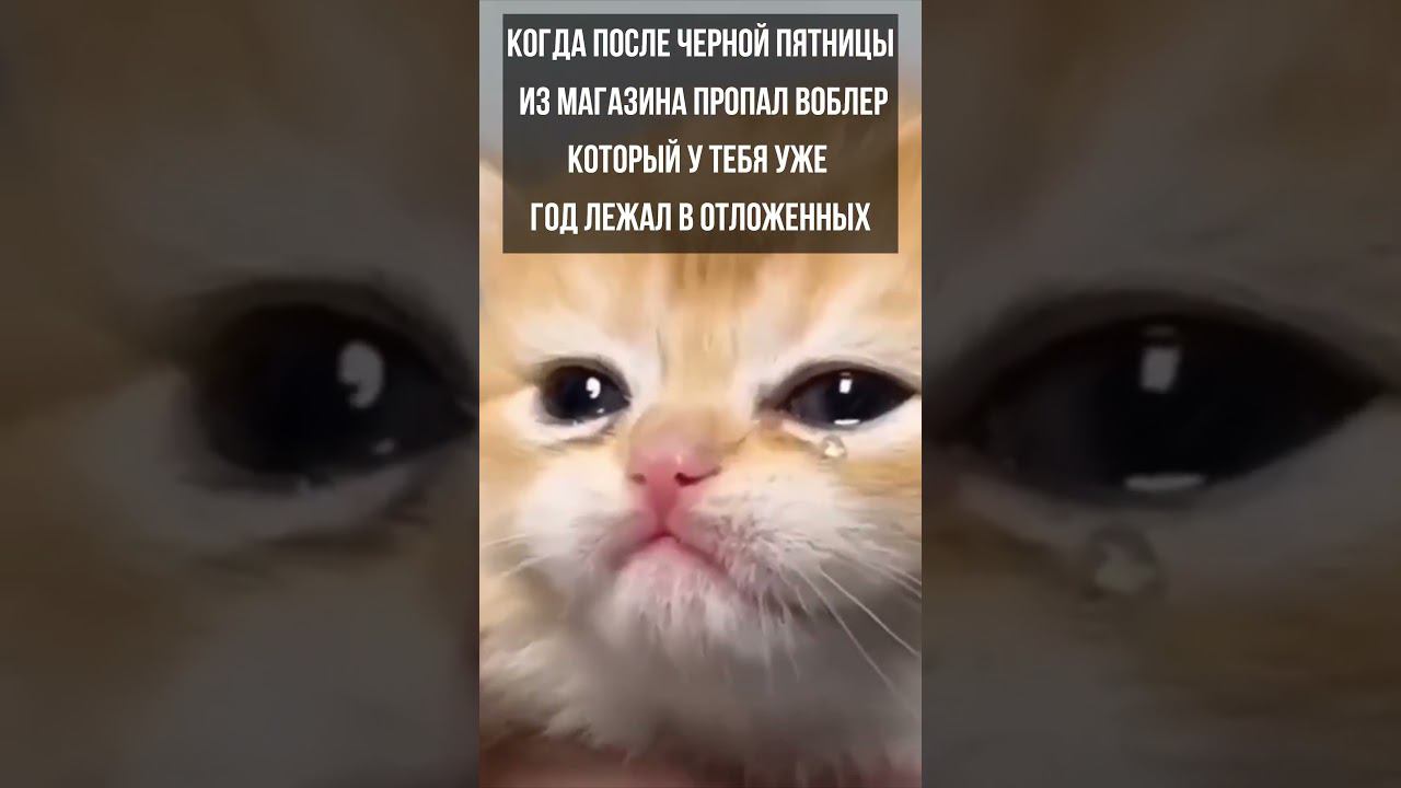 Ну как так то смотреть онлайн