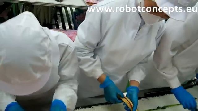 Mass Production Machine of Sushi Roll(Maki) for Sushi Factory смотреть онлайн