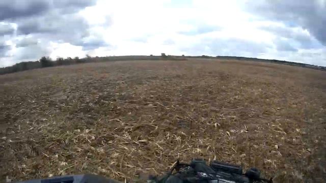 Grizzly 660, пробую ездить на задних колесах смотреть онлайн
