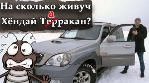 Хендай Терракан 2.9 Таракан в дикой природе.  Hyundai Terracan 2.9