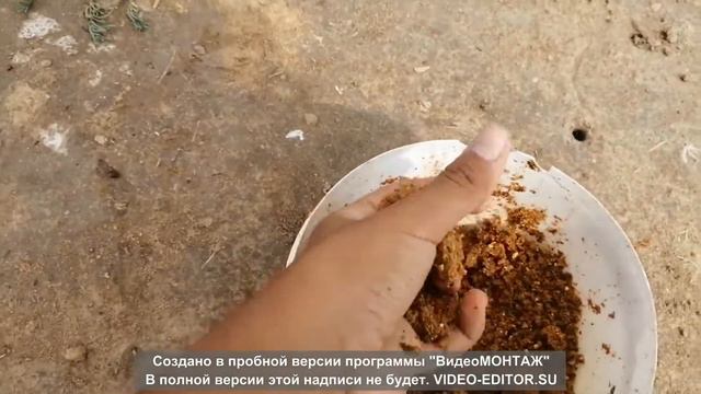 Рыбалка в Кызылтане. Полный ноль смотреть онлайн