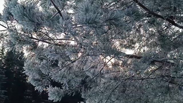 ЭТО СЛУЧИТСЯ ЗИМОЙ!!! СЧАСТЬЕ ЖДЁТ КАЖДОГО ИЗ НАС!!! смотреть онлайн