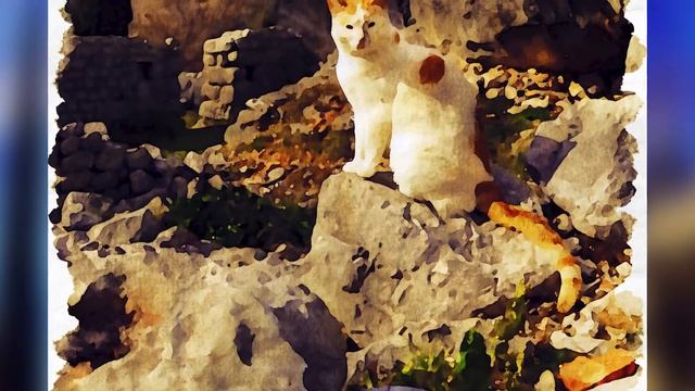 Акварельные картины из фотографий смотреть онлайн