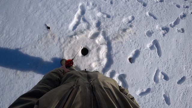 Зимняя рыбалка. Ловля на блесну. Хороший клёв на жерлицы. Часть 1. смотреть онлайн