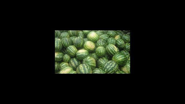 Как выбрать арбуз без нитратов смотреть онлайн